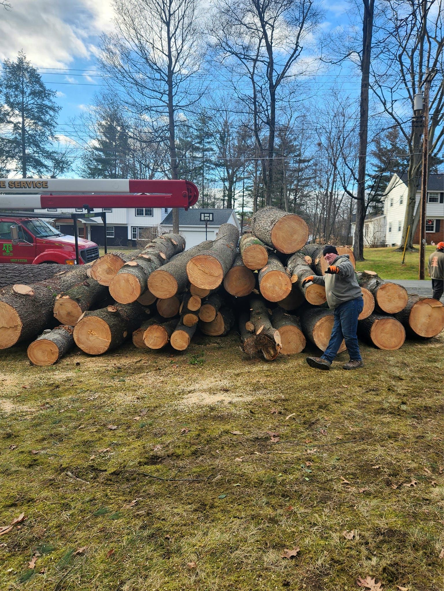 A person stands next to a large pile of freshly cut logs in a grassy area near a red utility truck and suburban homes.