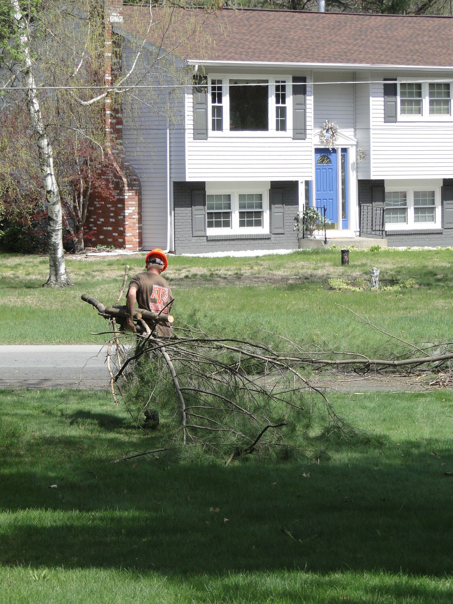 A person in an orange hard hat carries a large tree branch across a residential front lawn in front of a house.