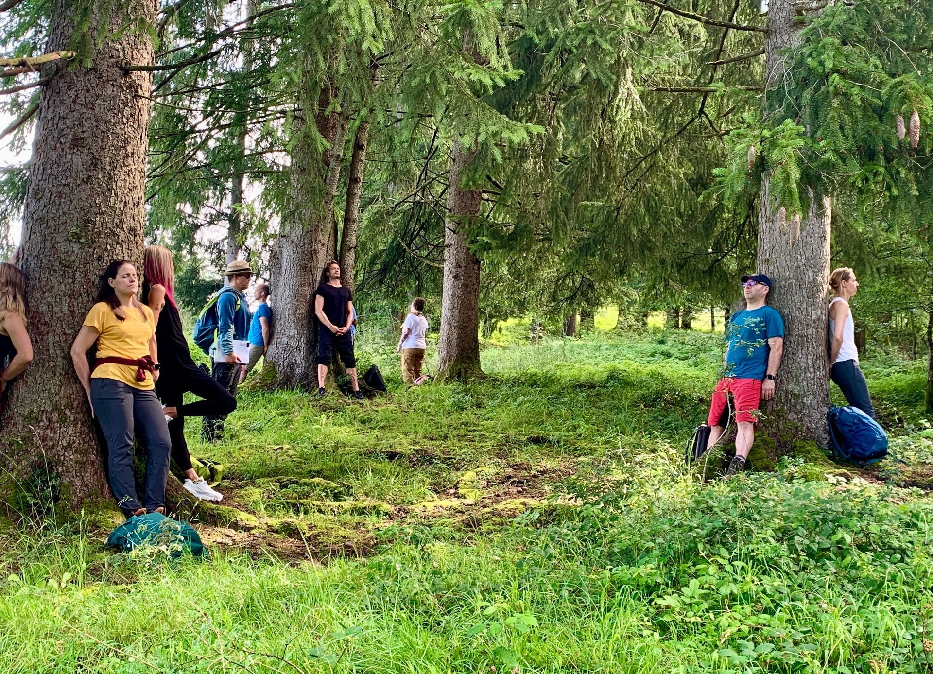 BASISKURS SYSTEMISCHES COACHING IN FREIER NATUR