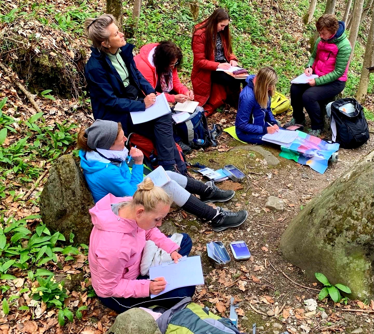 Ausbildung zum Systemischen Coach in freier natur