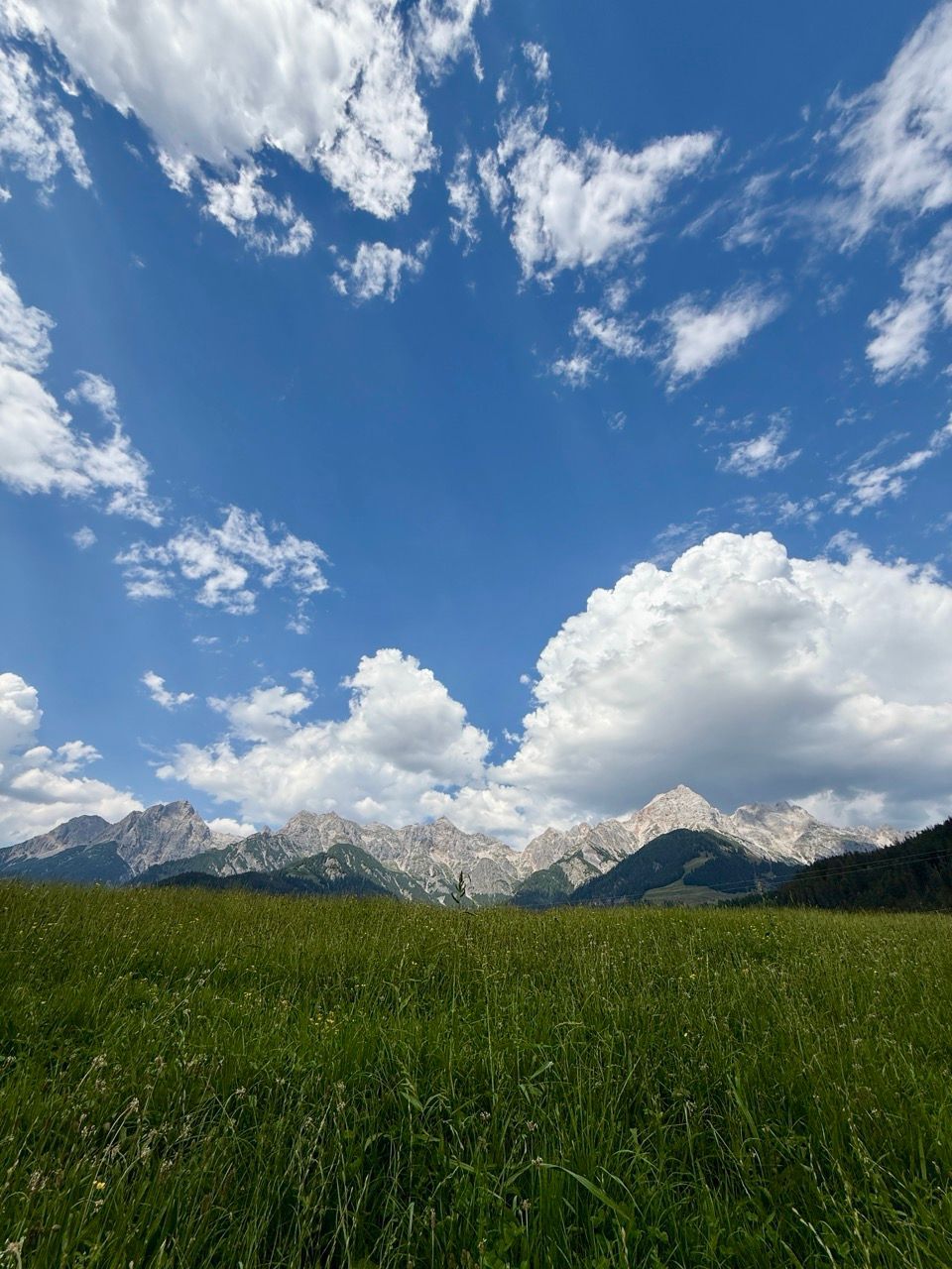 Wegbegleiter-Tage: Gemeinsam. Bewusst sein
Retreat Naturcoaching Wegbegleitung