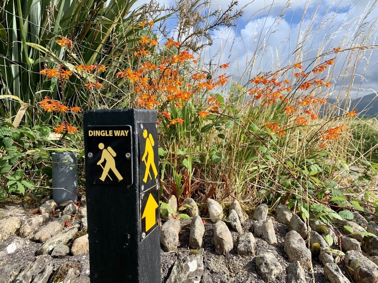 Dingle Way Irland - Wandercoaching