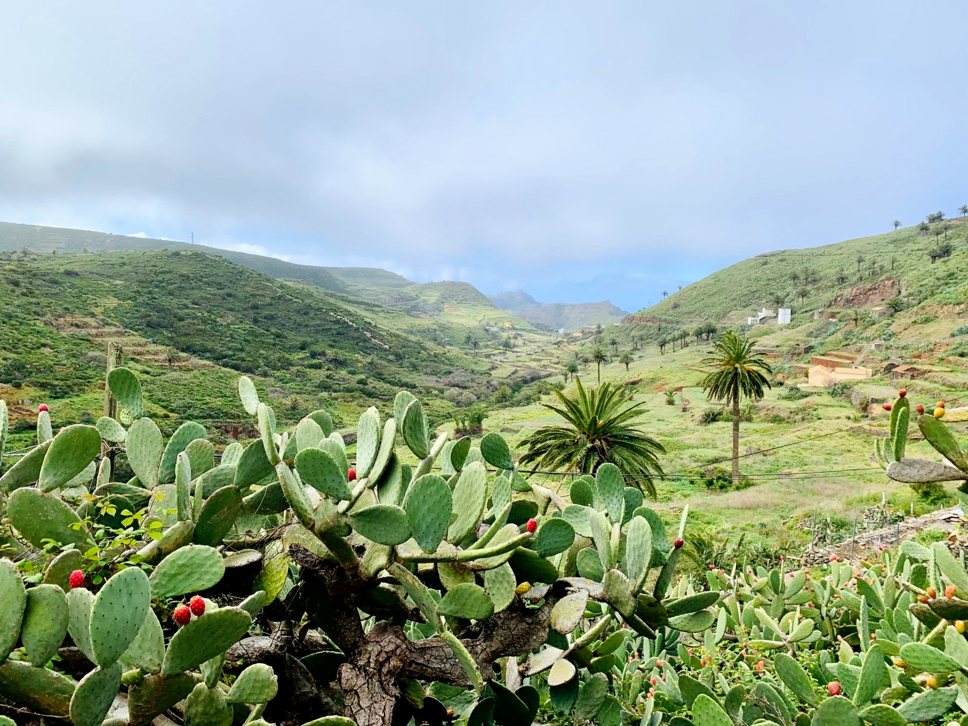 La Gomera Spanien - Wandercoaching