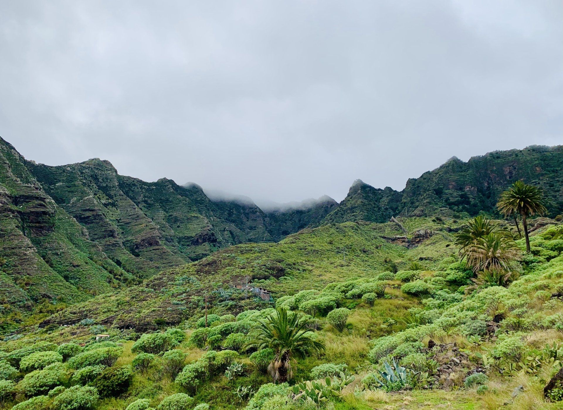 La Gomera Spanien - Wandercoaching