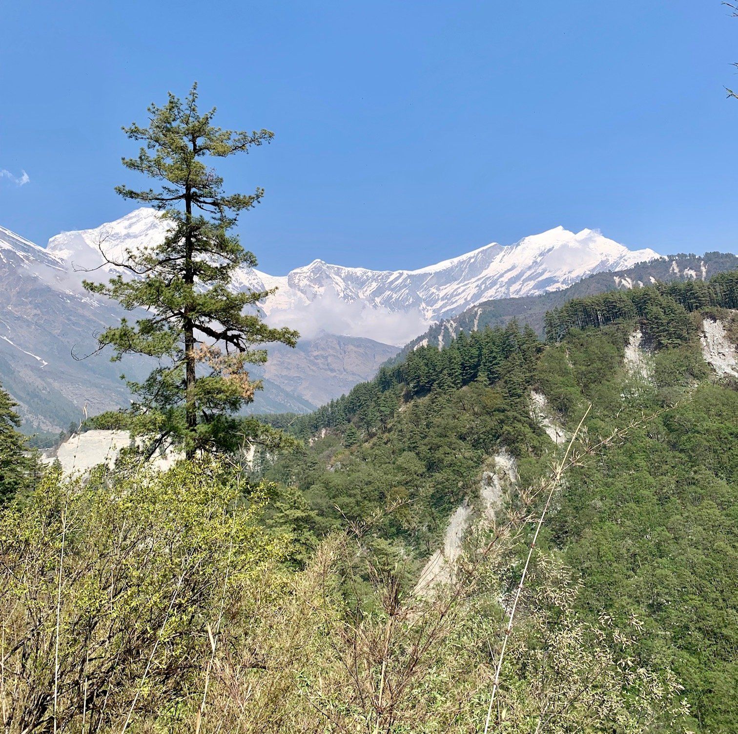Nepal Himalaya - Wandercoaching