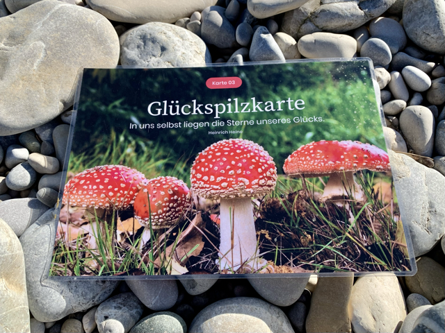 Coaching-Kartenset Kartenset