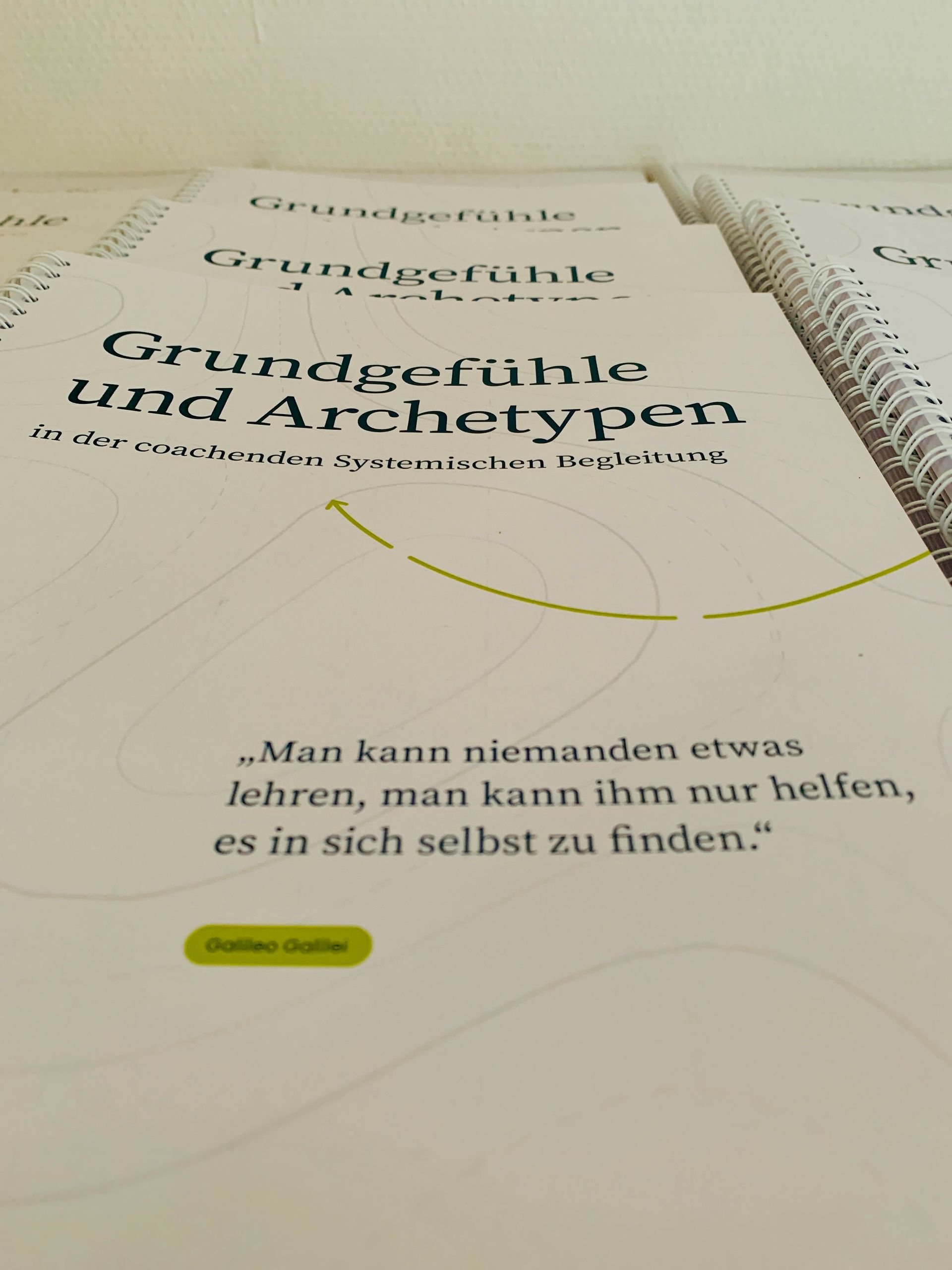 Fortbildung Grundgefühle und Archetypen im Systemischen Coaching