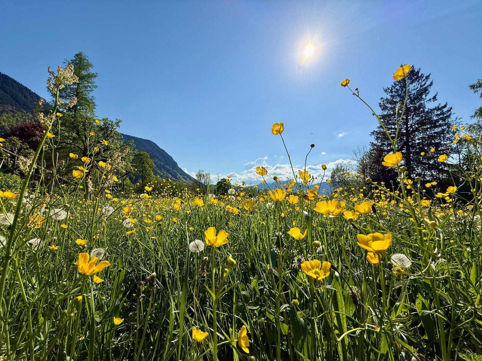 Retreat Wegbegleiter-Tage