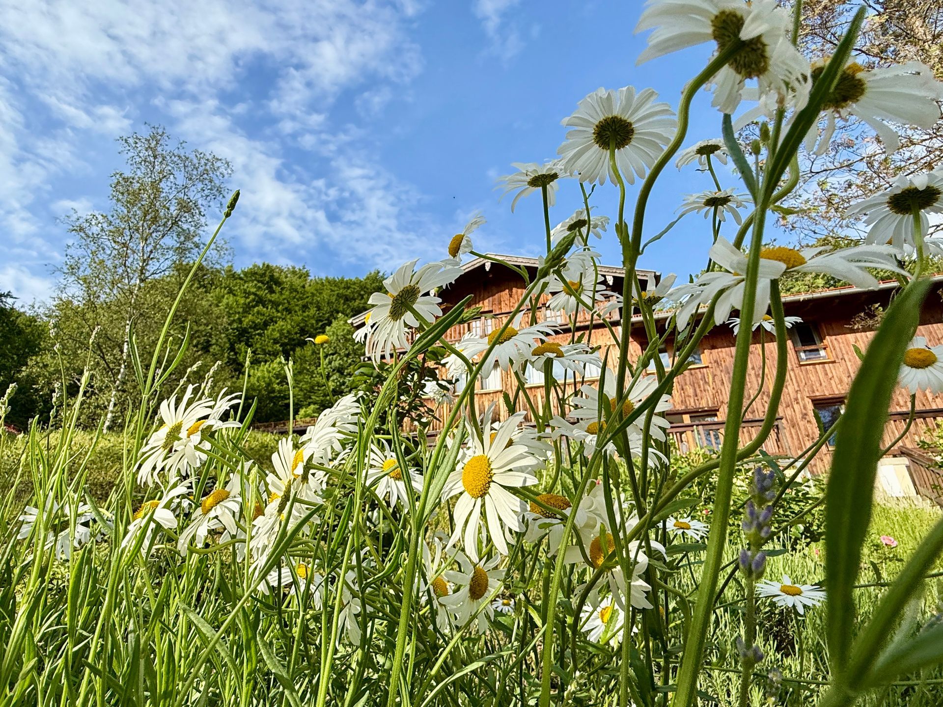Wegbegleiter-Tage: Gemeinsam. Bewusst sein
Retreat Naturcoaching Wegbegleitung