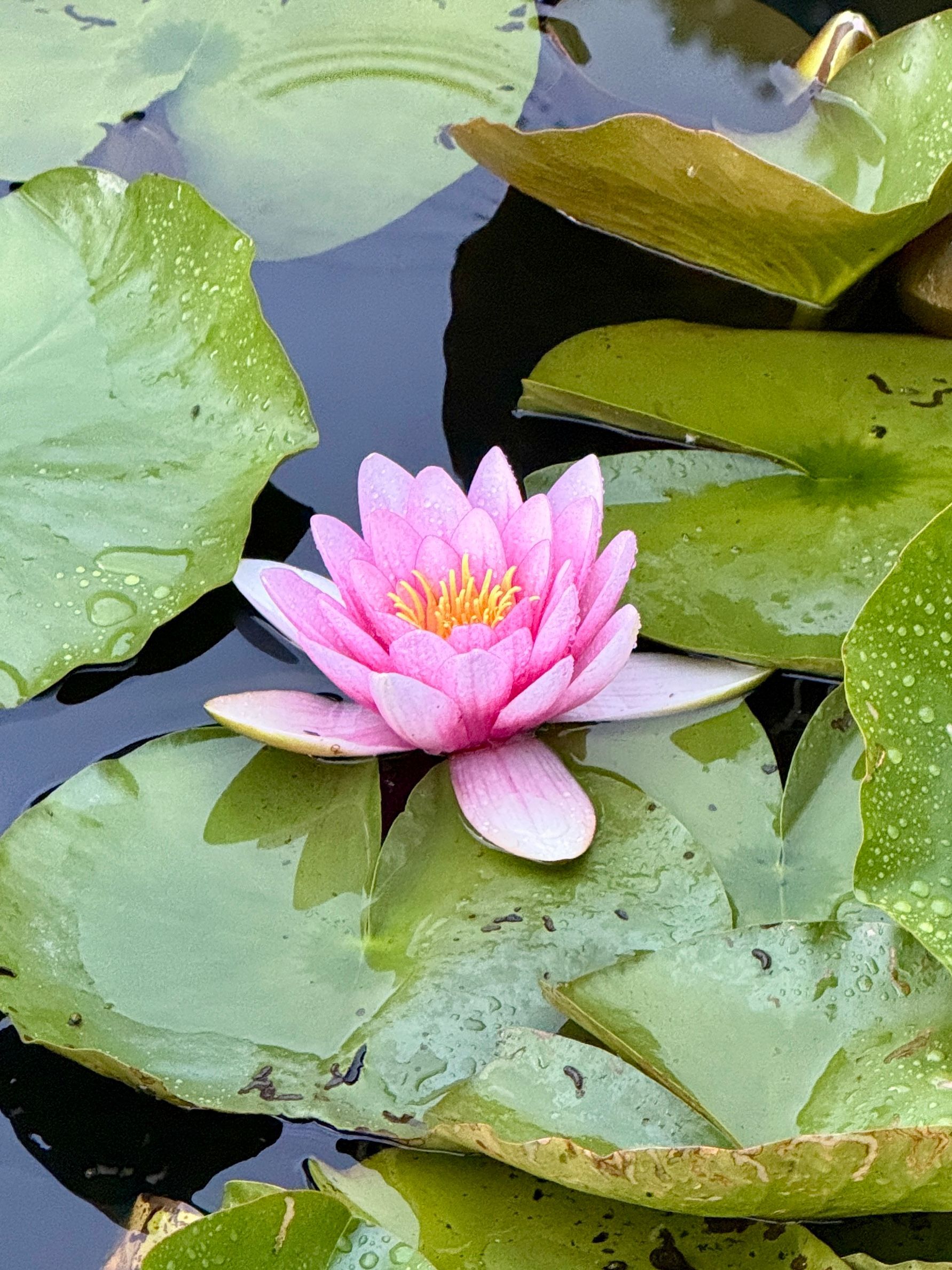 Wegbegleiter-Tage: Gemeinsam. Bewusst sein
Retreat Naturcoaching Wegbegleitung