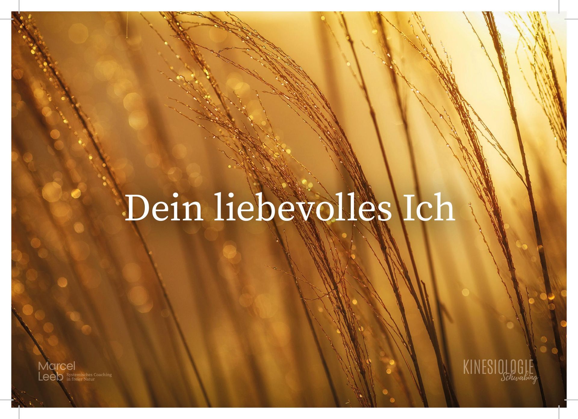 Der Rat der Weisen