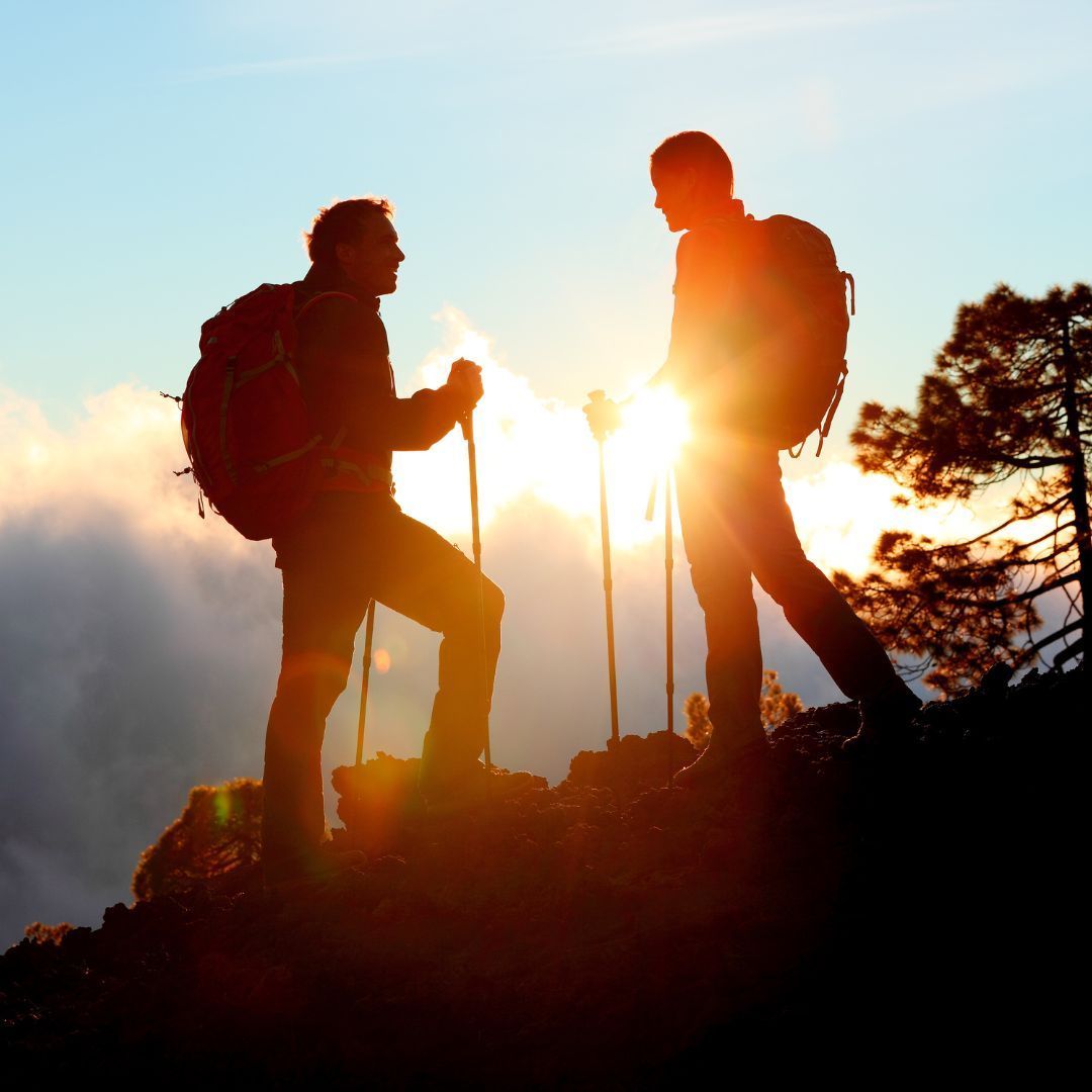 Executive Coaching, Führungskräfte Coaching, Business Coaching, Naturcoaching