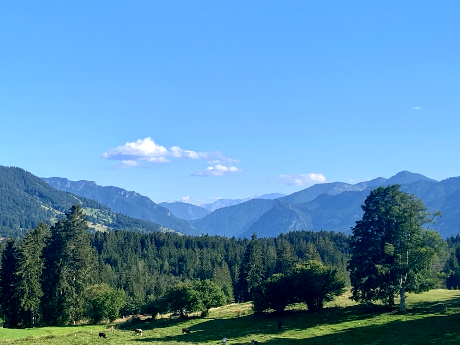 Ammergauer Meditationsweg - Wandercoaching