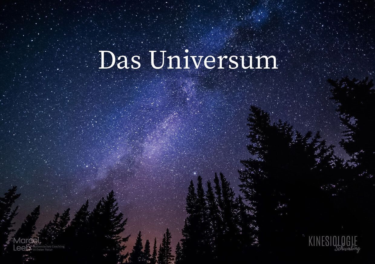 Der Rat der Weisen