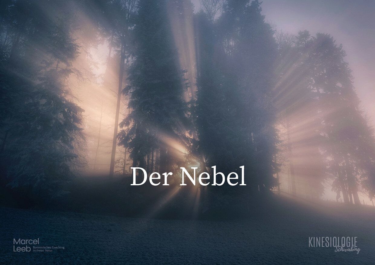 Der Rat der Weisen