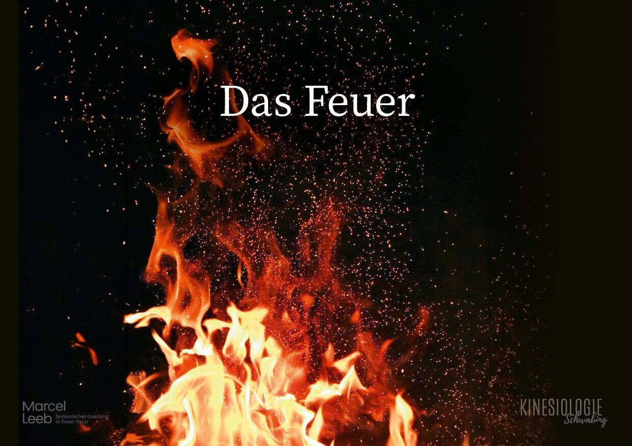 Der Rat der Weisen