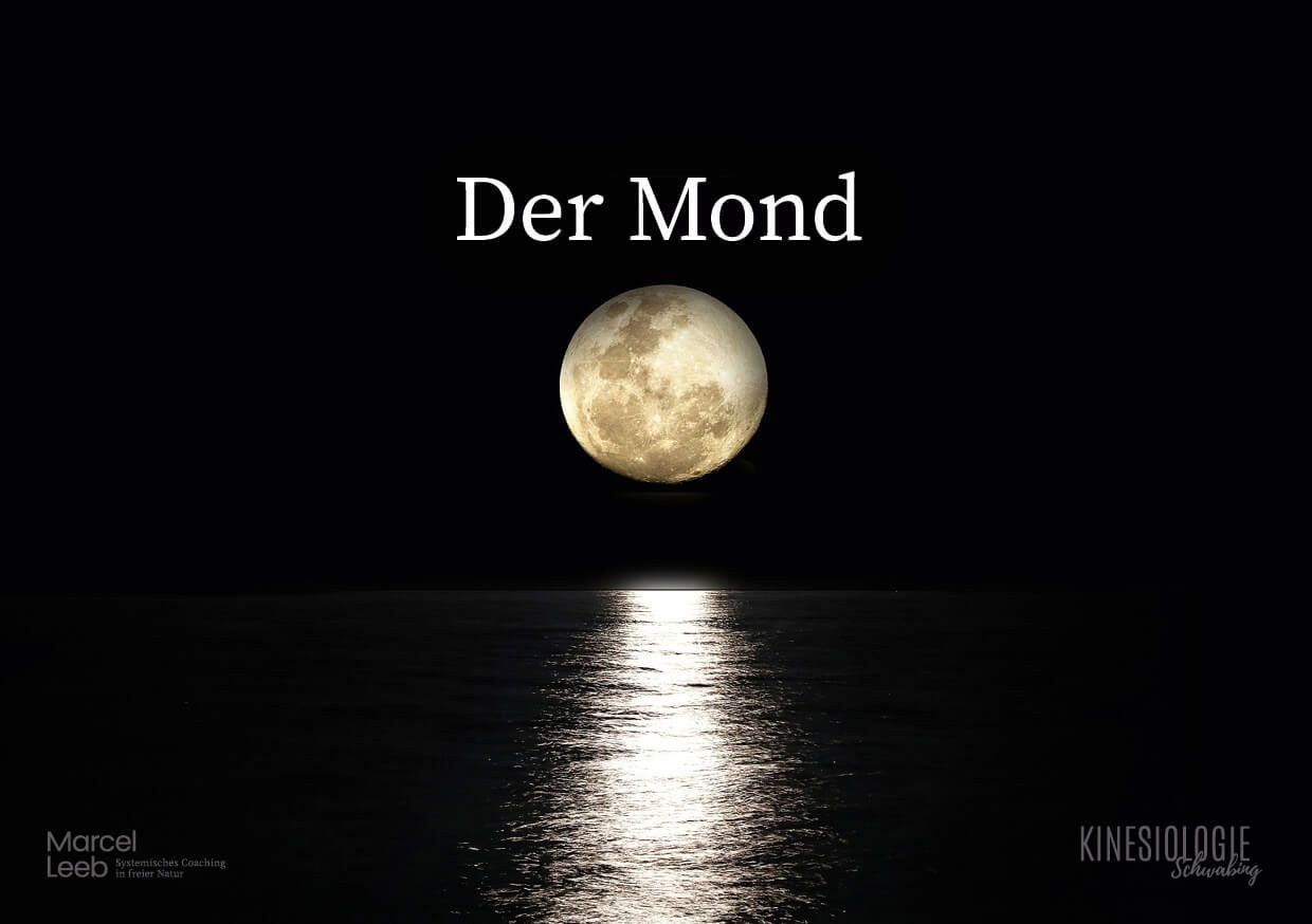 Der Rat der Weisen