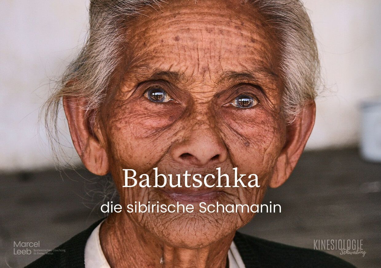 Der Rat der Weisen