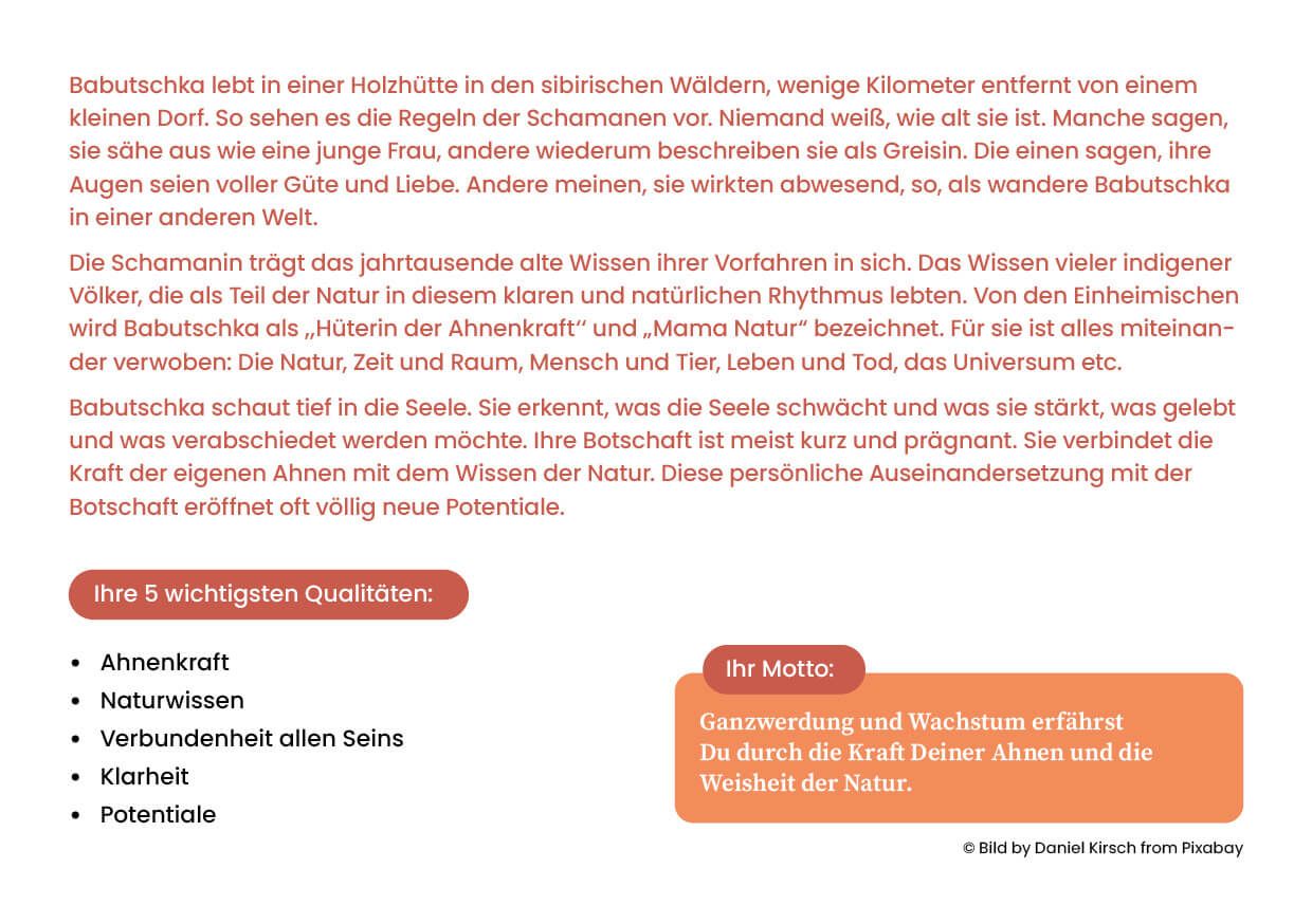 Der Rat der Weisen