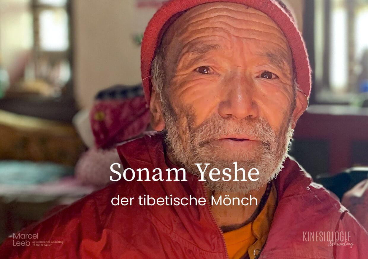 Der Rat der Weisen