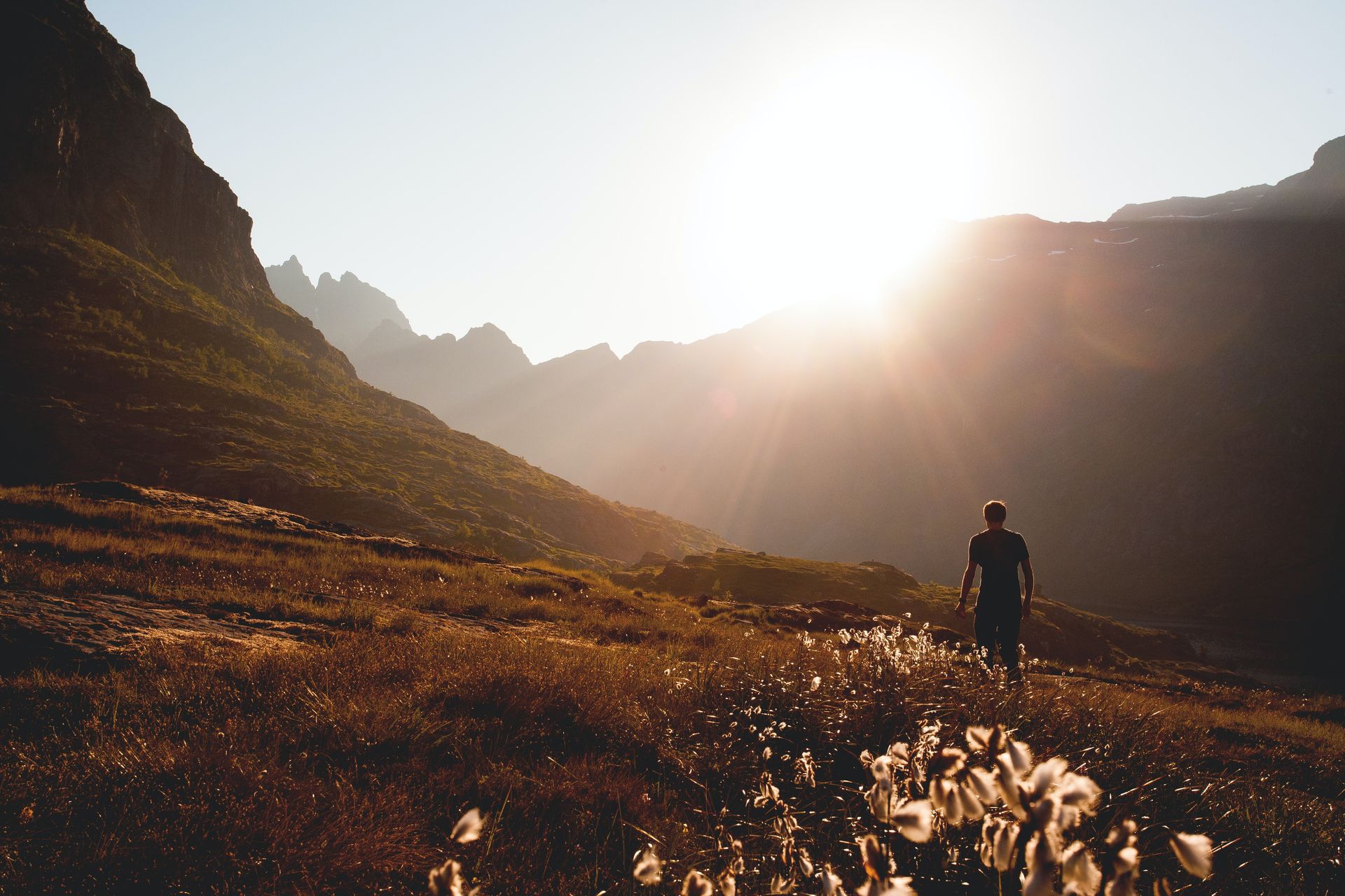Wandercoaching, Einzelcoaching, Systemisches Coaching in freier Natur