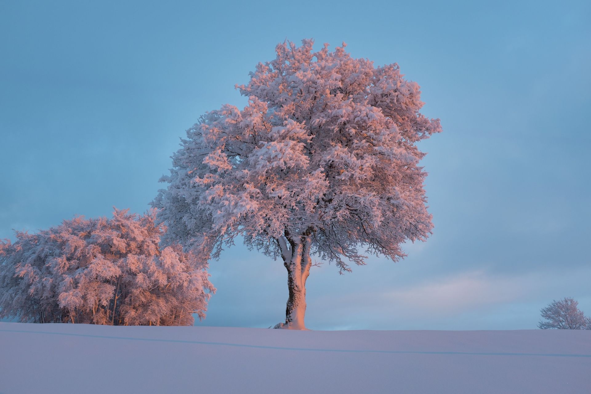 Wegbegleiter-Tage: Gemeinsam. Bewusst sein
Retreat Naturcoaching Wegbegleitung