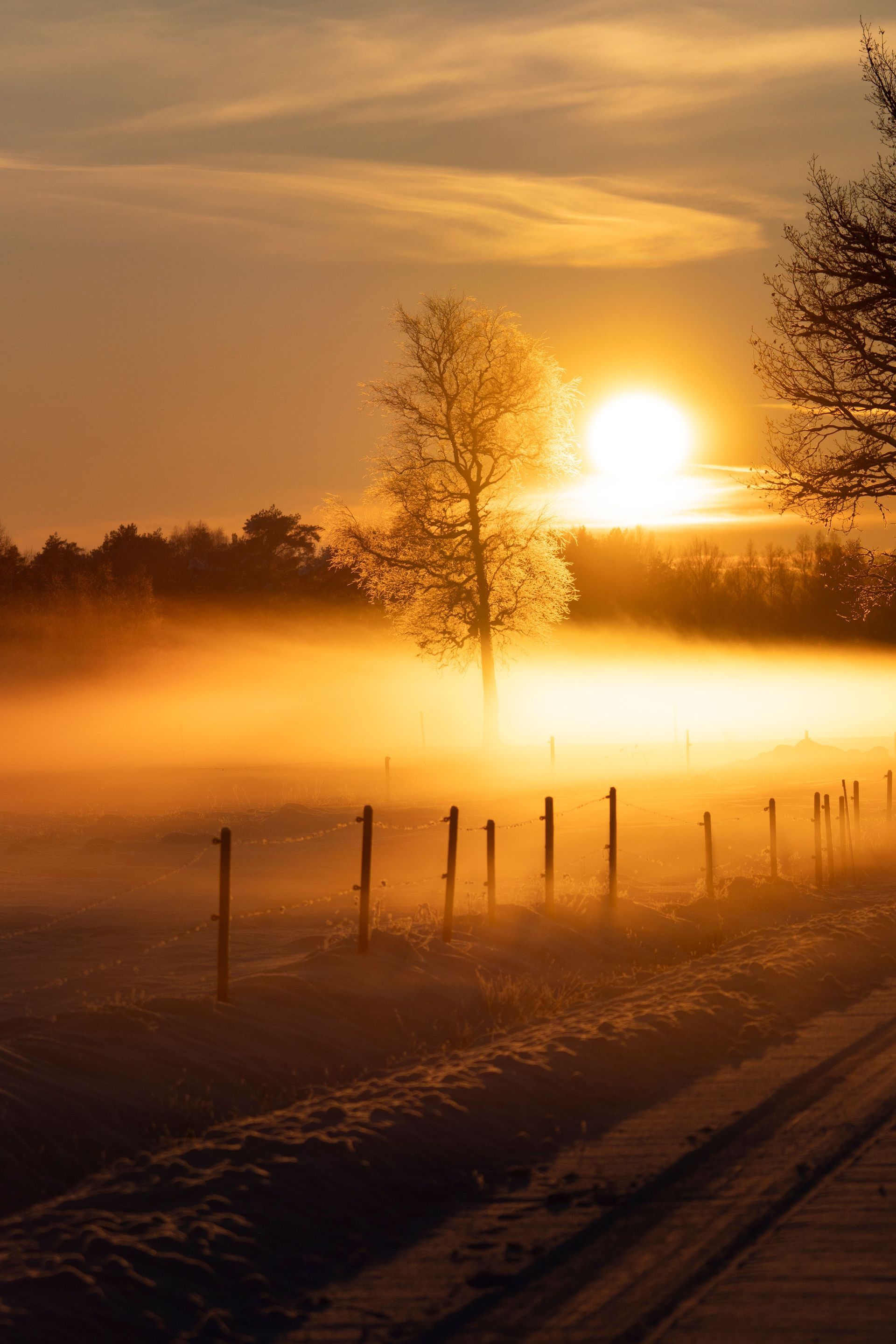 Wegbegleiter-Tage: Gemeinsam. Bewusst sein
Retreat Naturcoaching Wegbegleitung