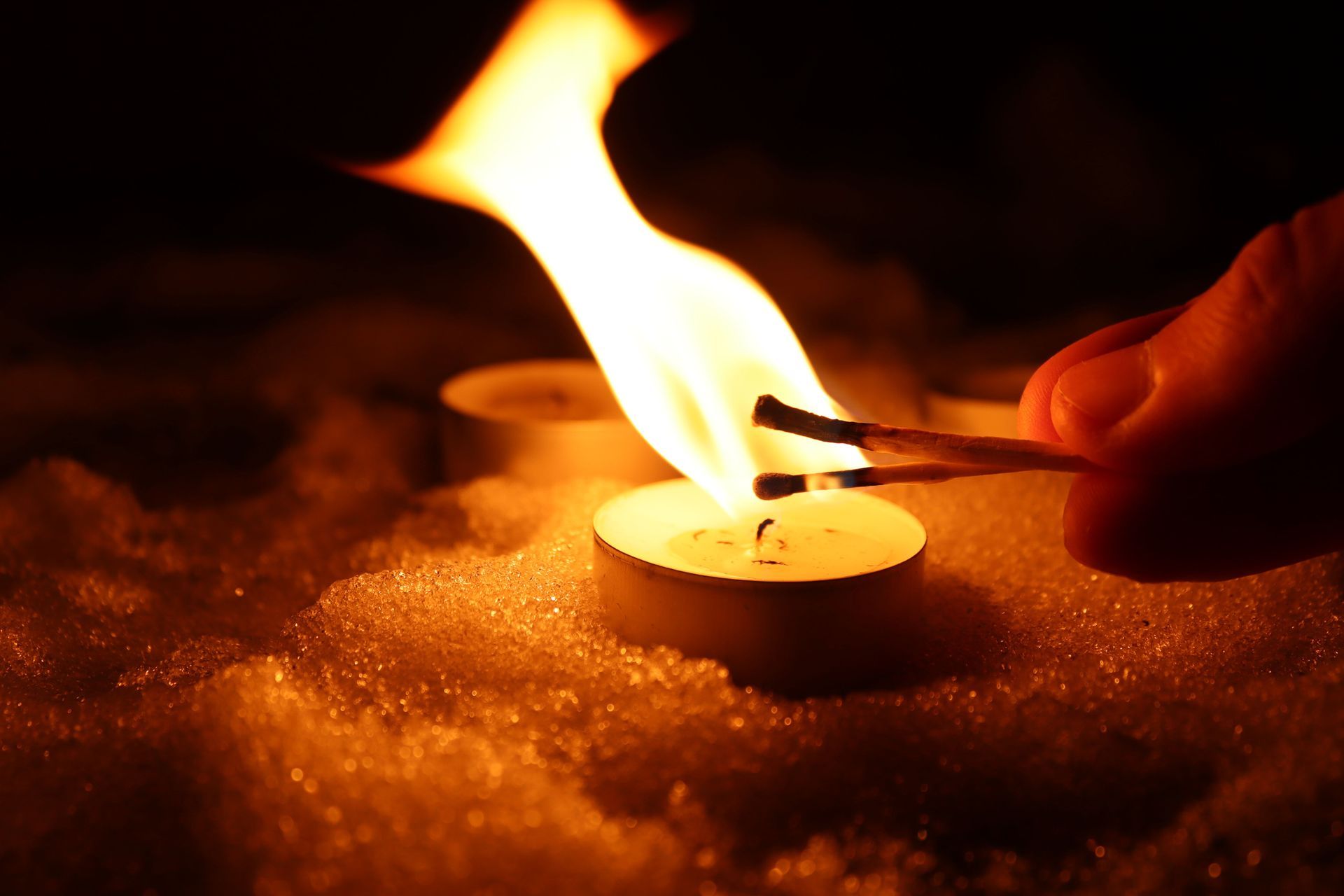 Wegbegleiter-Tage: Gemeinsam. Bewusst sein
Retreat Naturcoaching Wegbegleitung