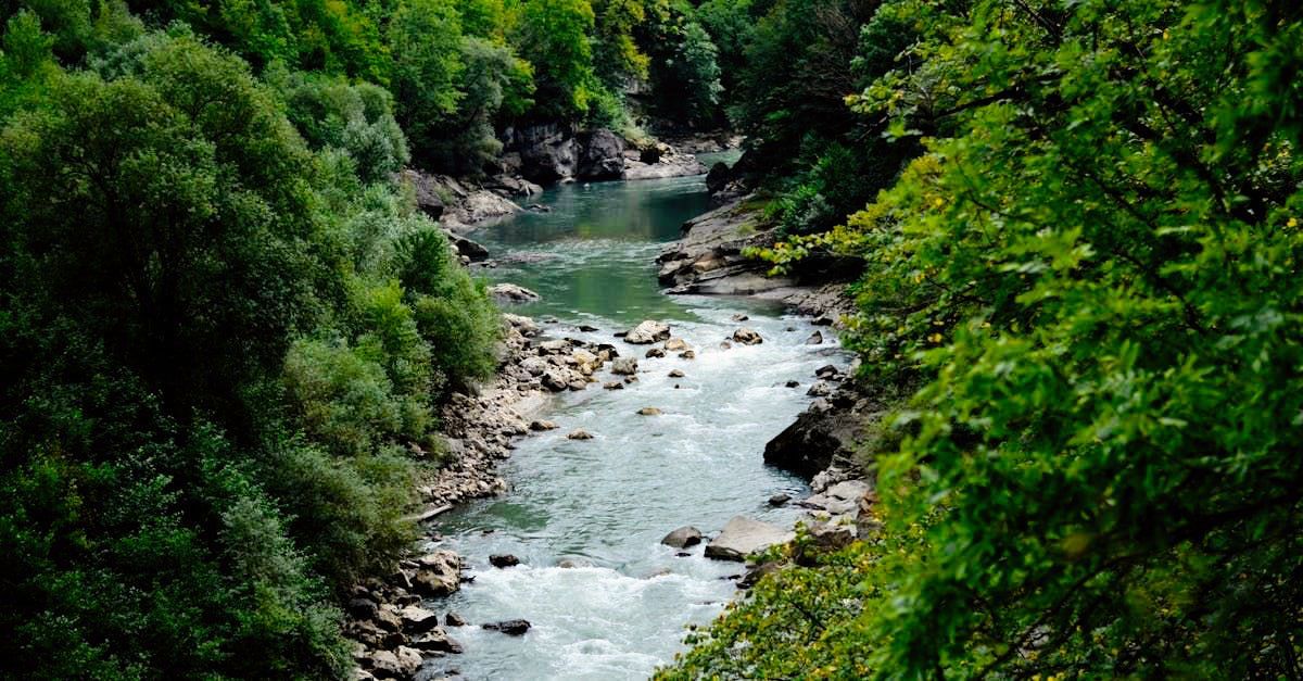Wegbegleiter-Tage: Gemeinsam. Bewusst sein
Retreat Naturcoaching Wegbegleitung