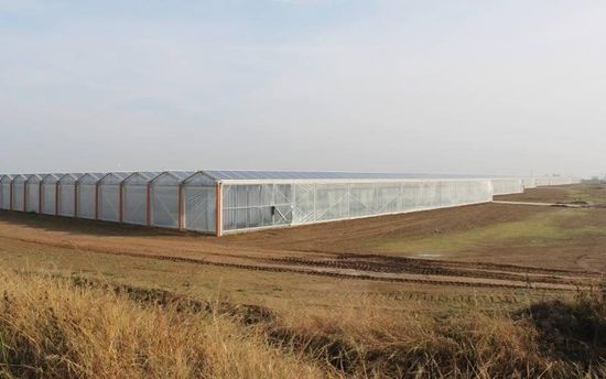 A large greenhouse is sitting in the middle of a field.