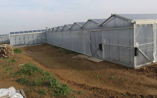 A row of greenhouses are sitting on top of a dirt field.