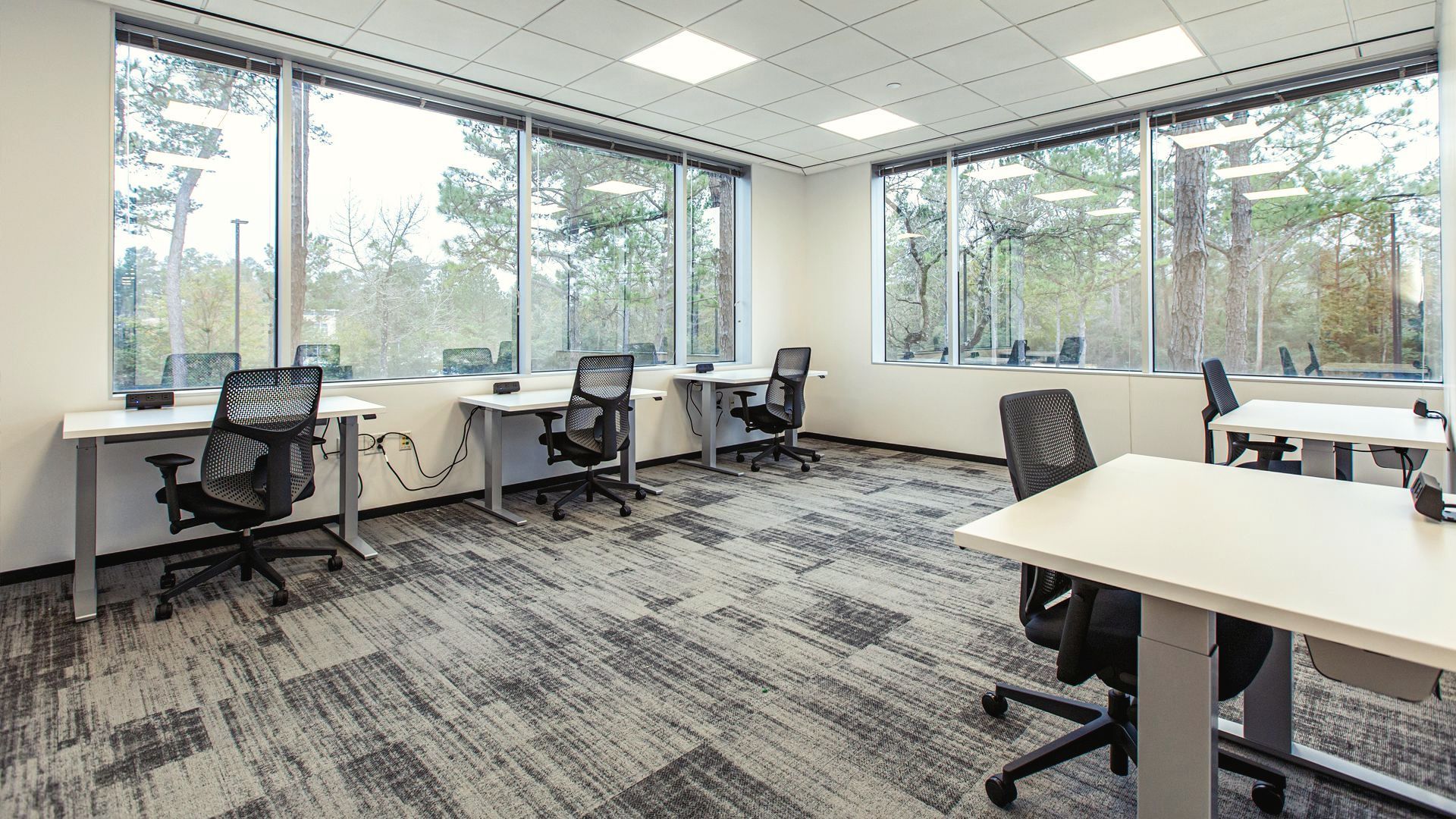 The Woodlands coworking space desk