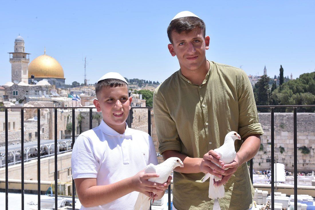 הפרחת יונים
