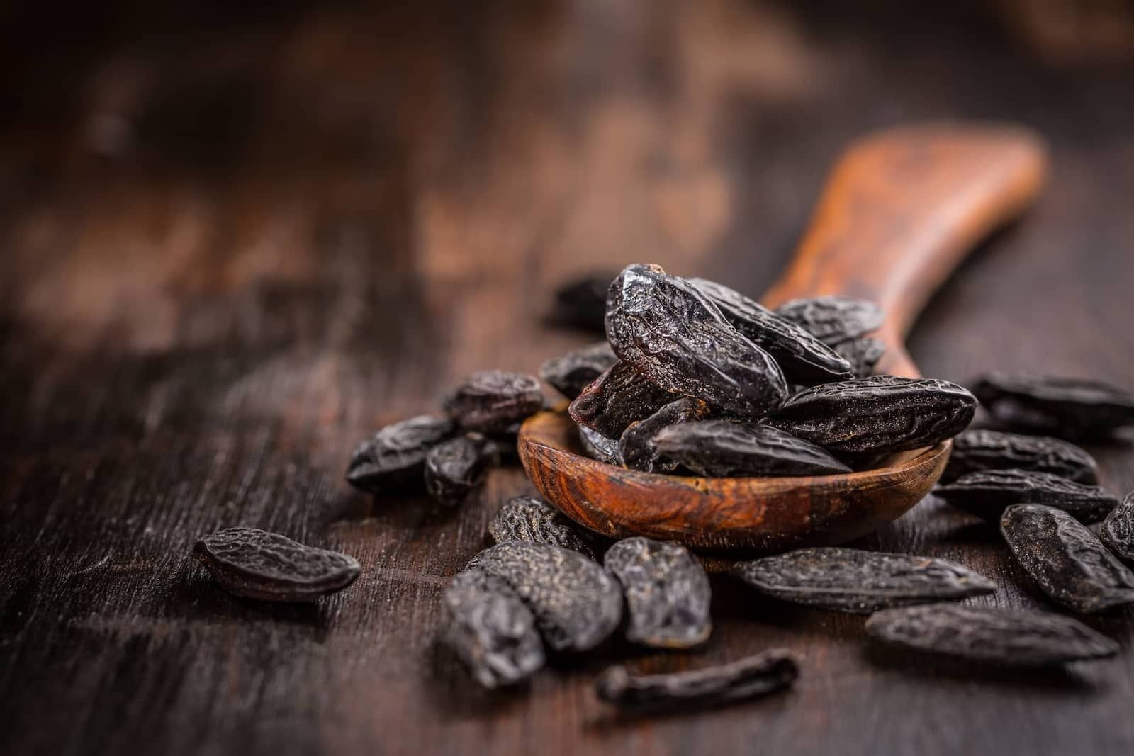 Tonka Bean Hotel Scents