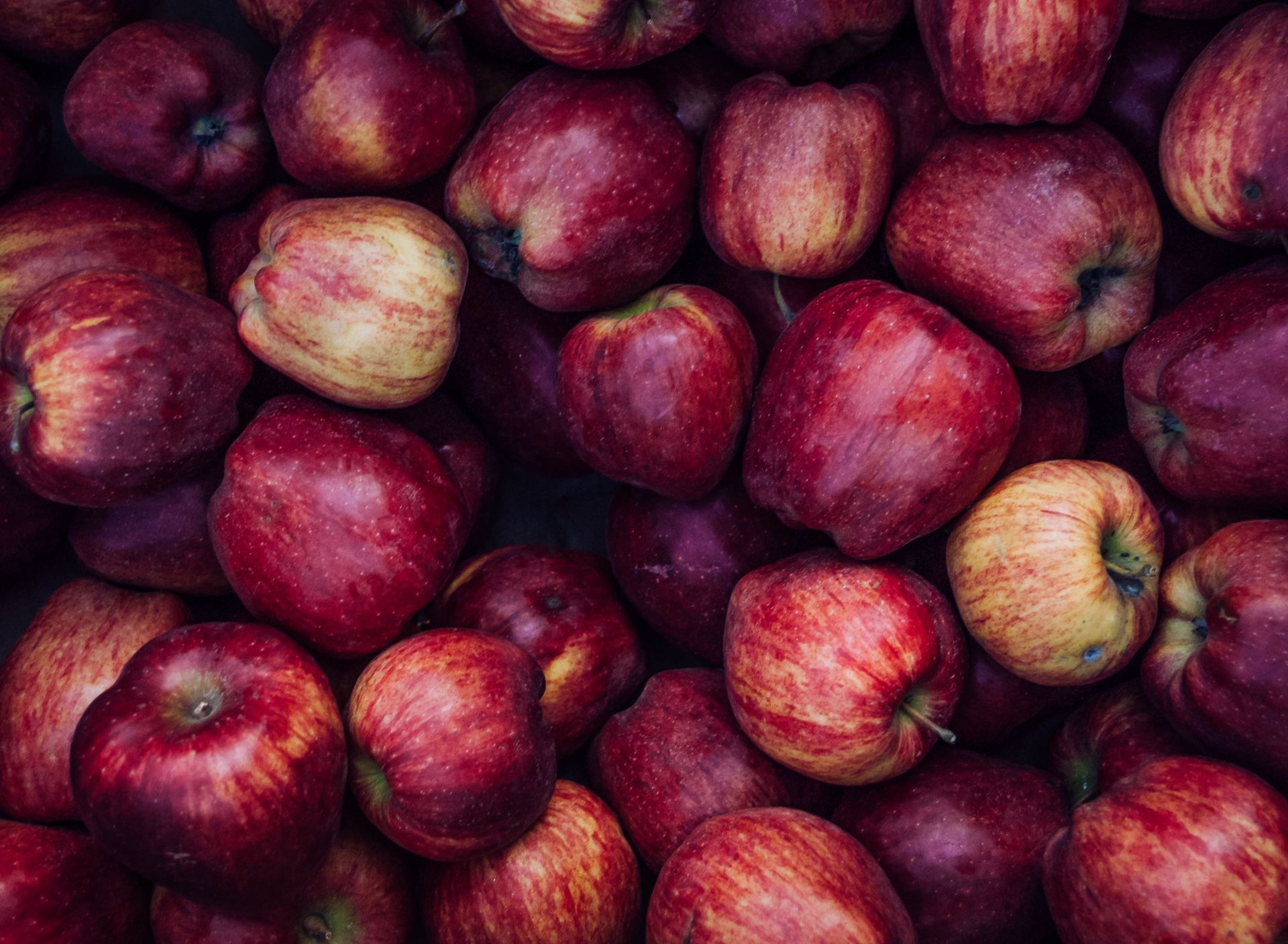 Apple Scents Apple Orchard Fragrance Oil