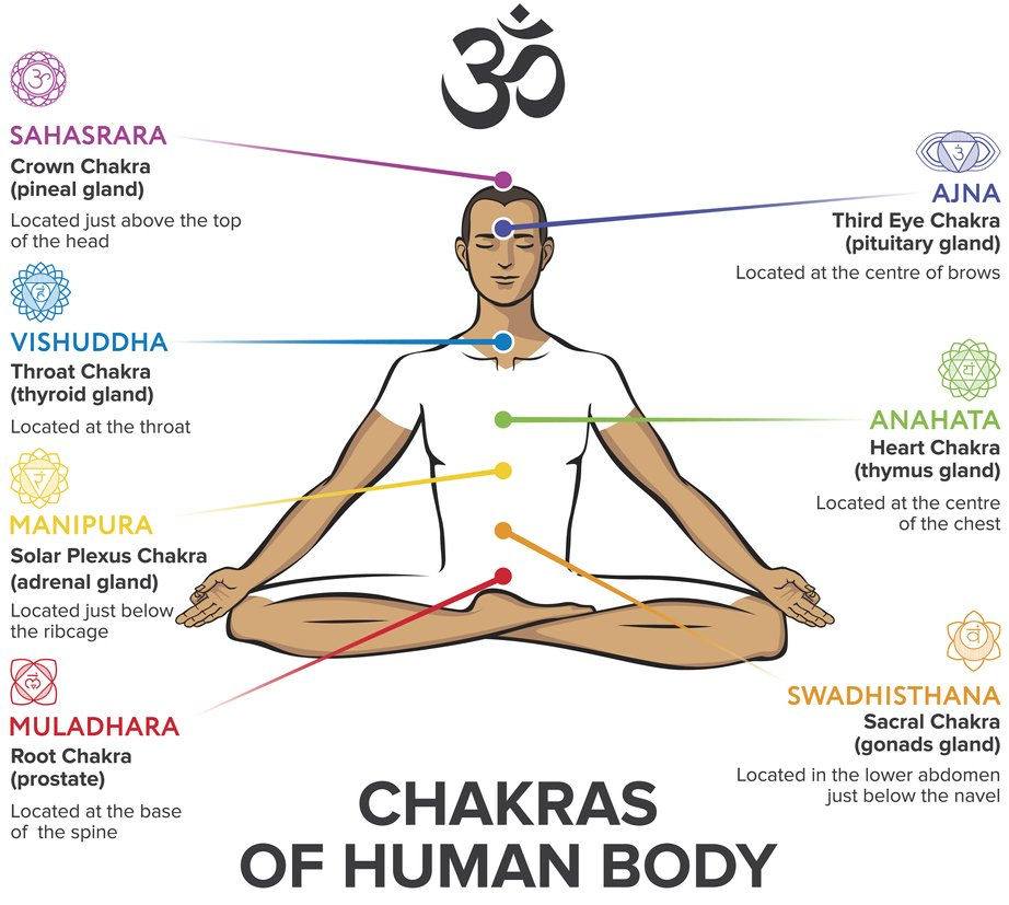 ตำแหน่งจักระทั้ง 7 บนร่างกาย ตำแหน่งจักระทั้ง 7 บนร่างกาย