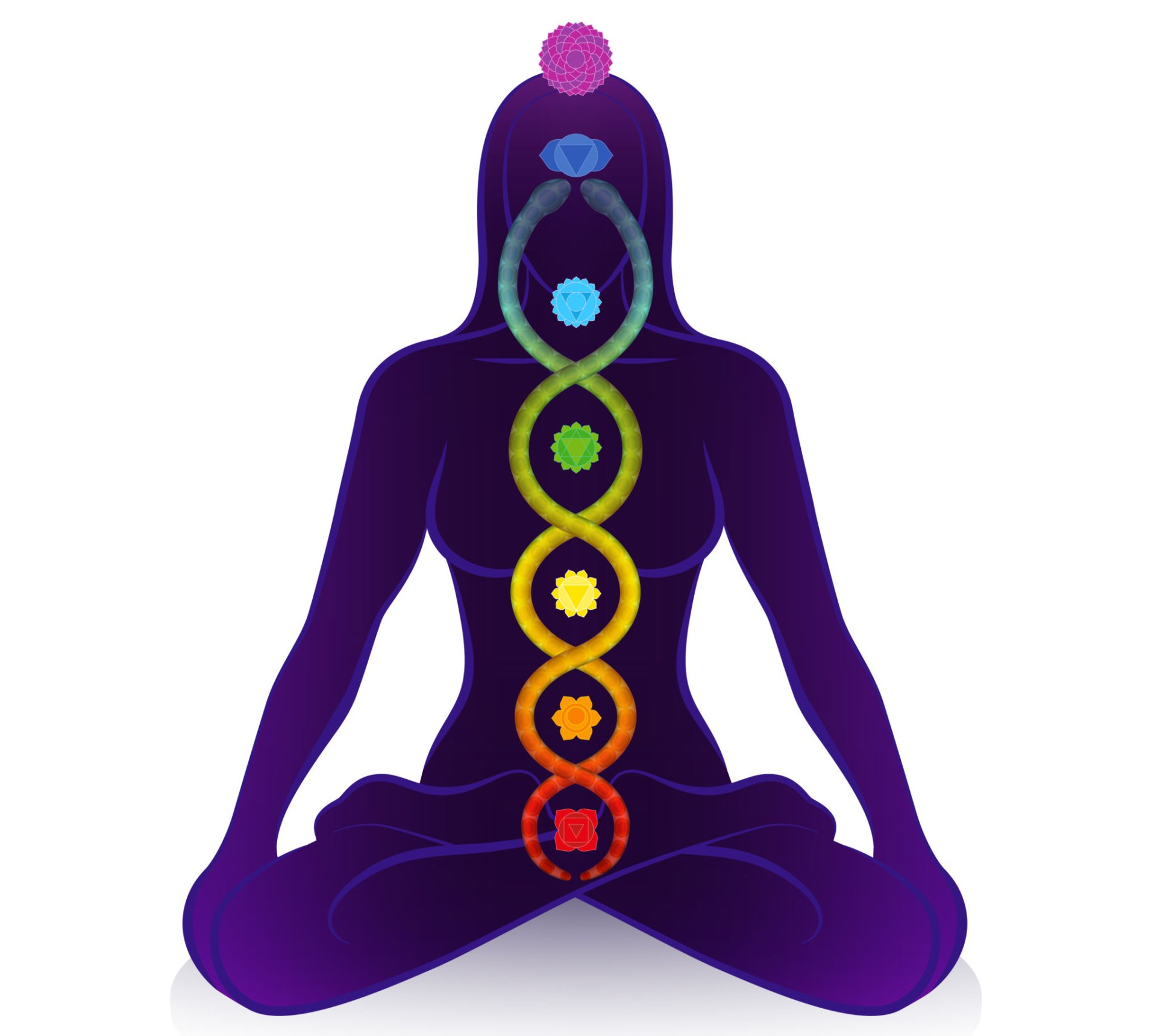 จักระที่ 2 (Sacral Chakra) จักระที่ 2 (Sacral Chakra)