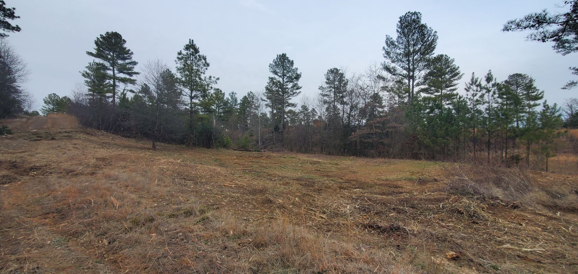 A view of a dry, cleared grassy field transitioning into a line of pine and deciduous trees under an overcast sky.