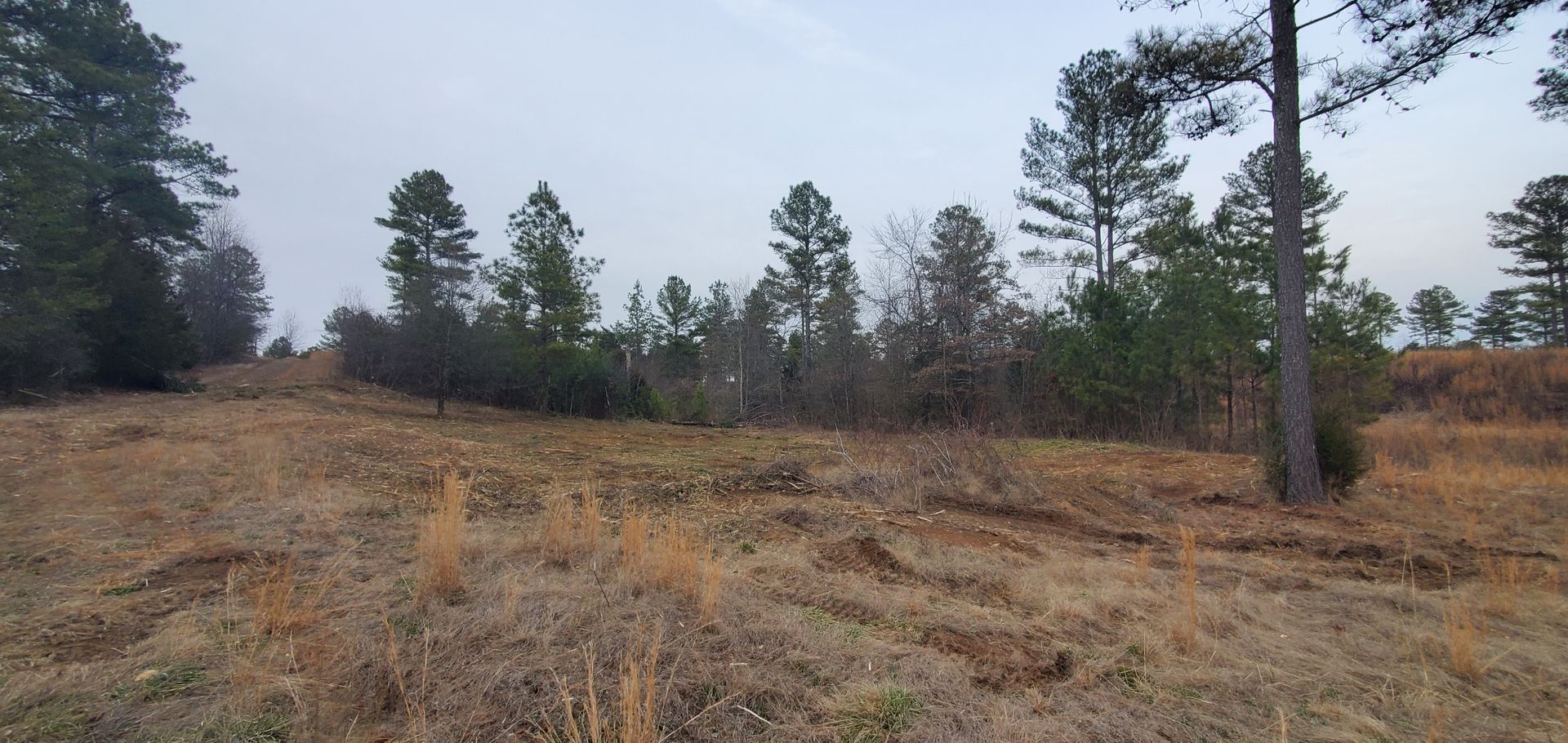 A clearing of dry, patchy grass leads to a dense tree line under a hazy, overcast sky.