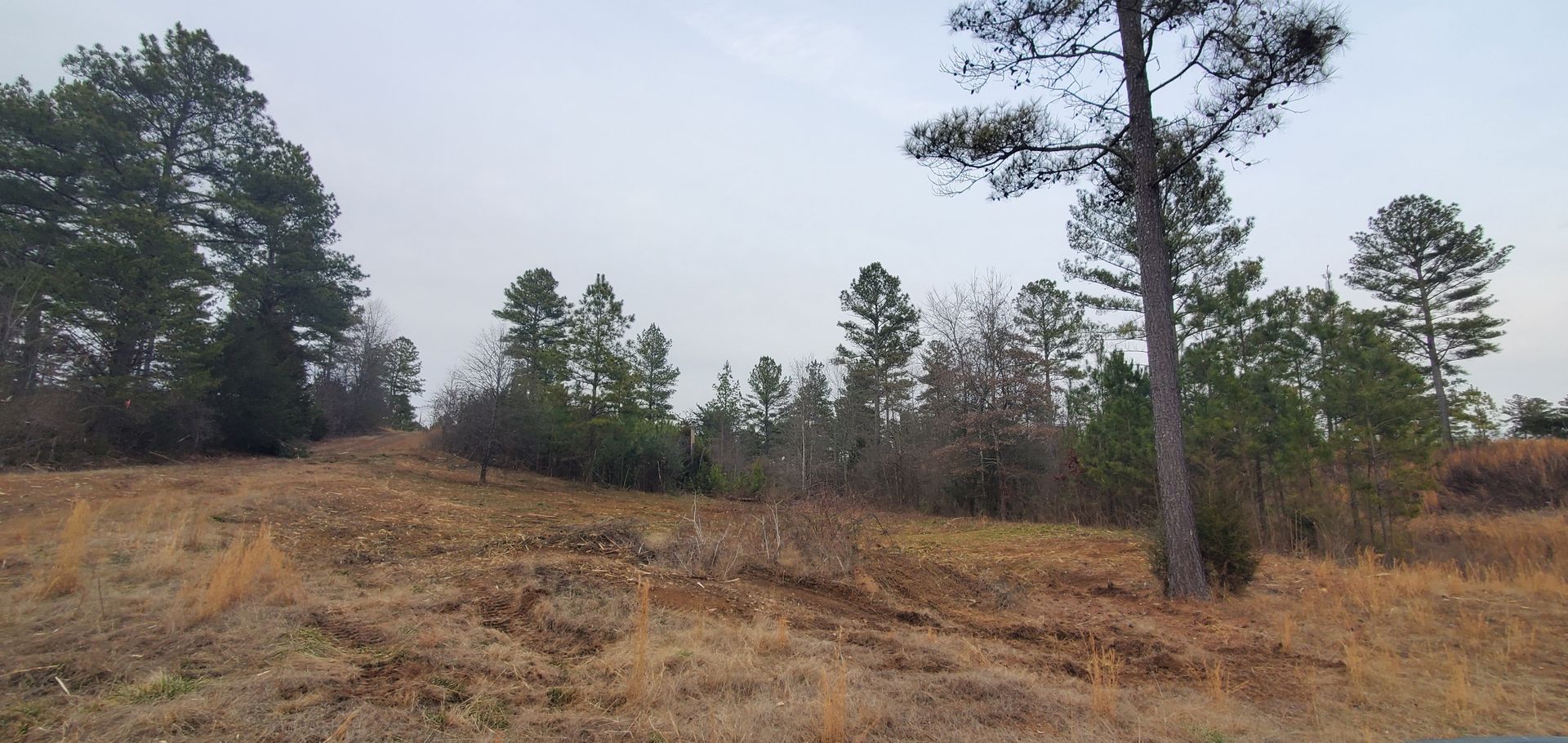A cleared, grassy field leads up to a forested treeline under an overcast sky.