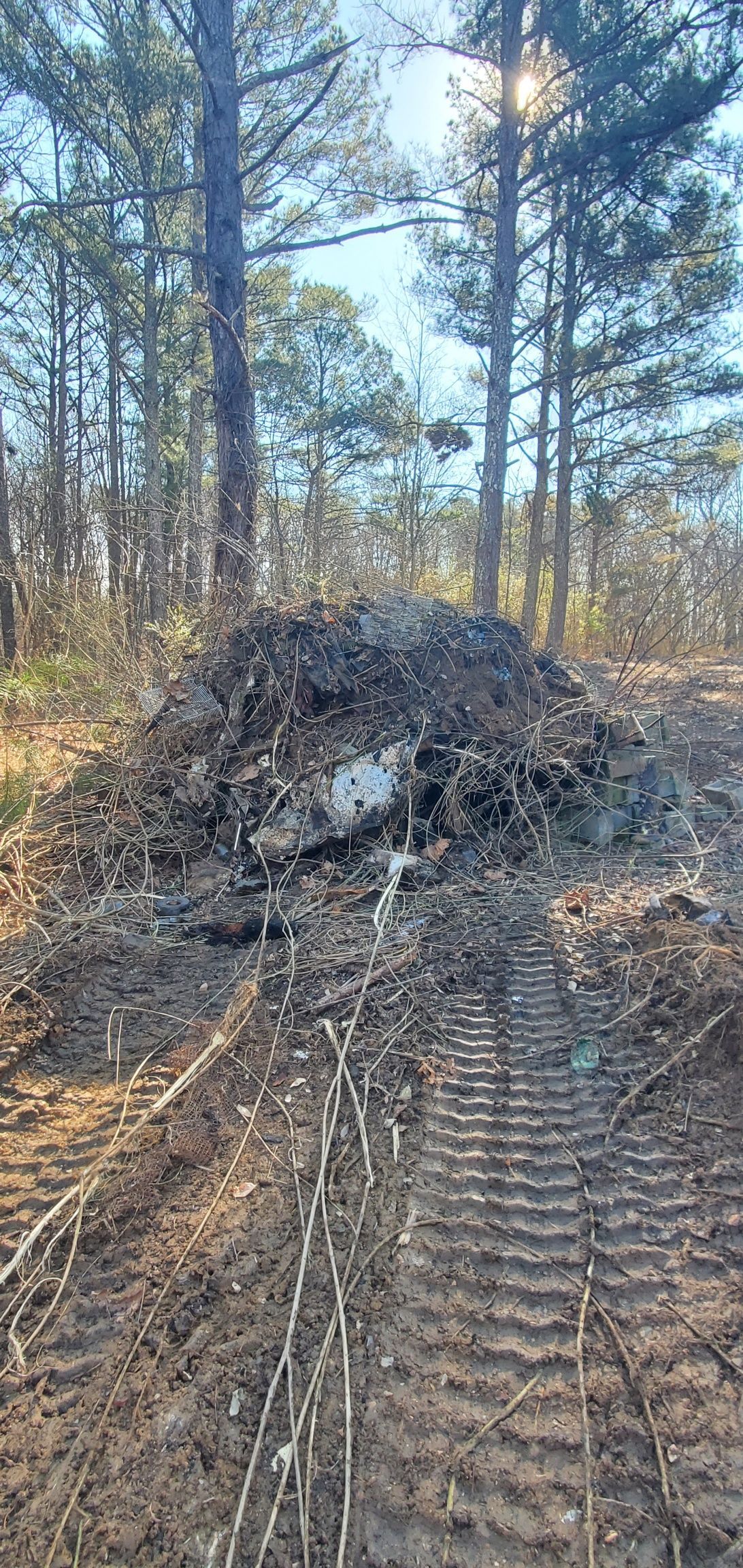 A large pile of dirt, brush, and debris sits in a wooded area with visible bulldozer or tractor tread marks in the mud.
