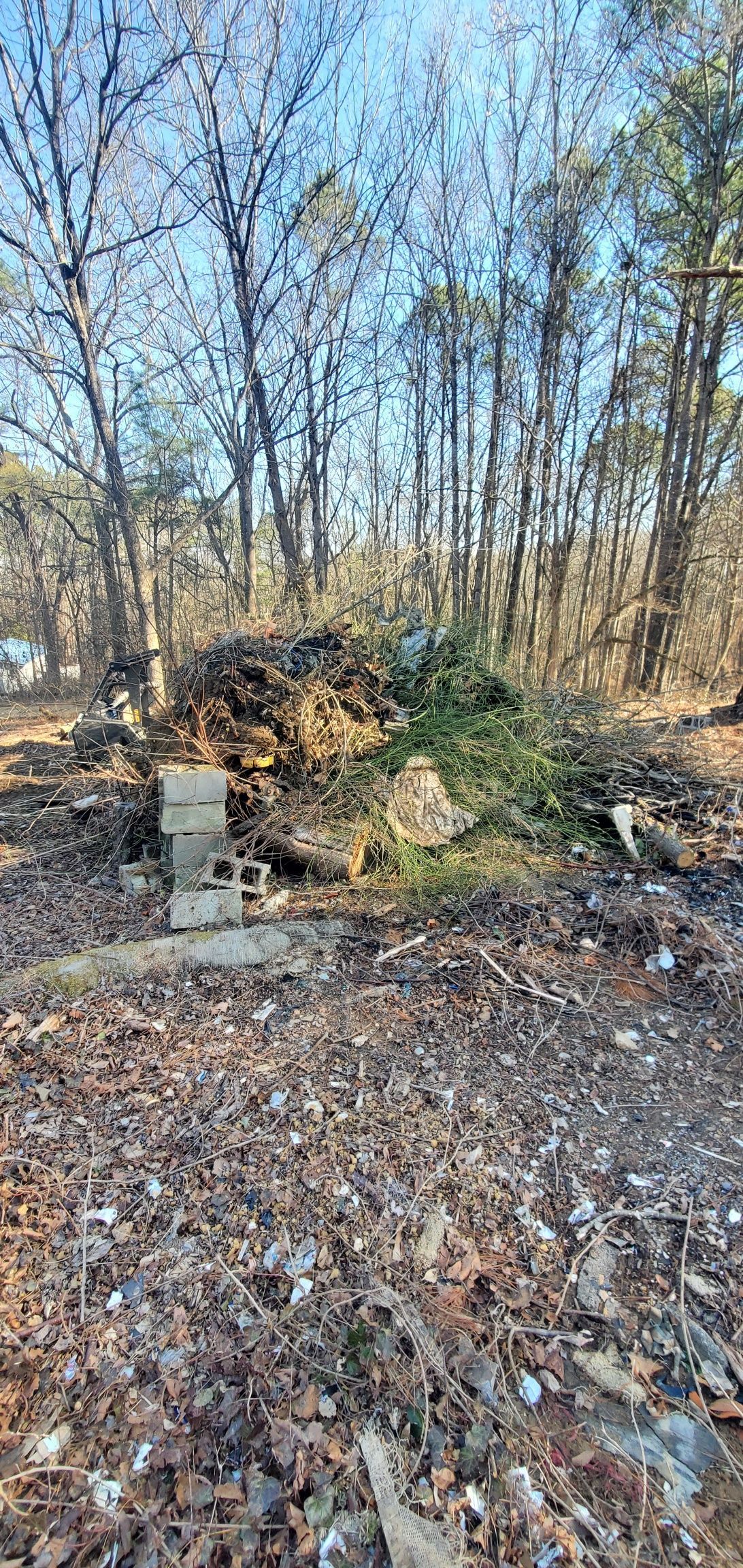 A pile of brush, branches, and yard debris sits on the forest floor, framed by bare trees under a clear blue sky.