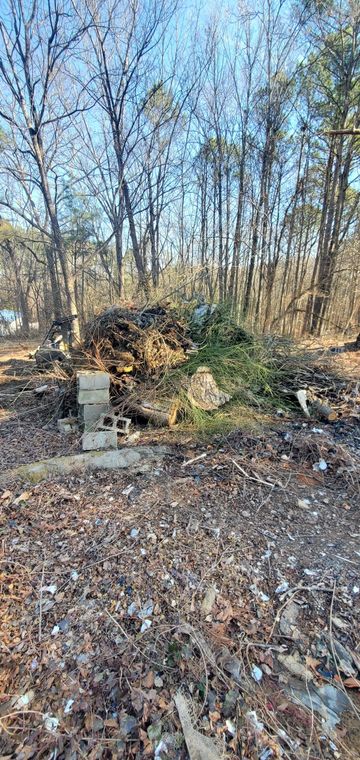 A pile of brush, branches, and yard debris sits on the forest floor, framed by bare trees under a clear blue sky.