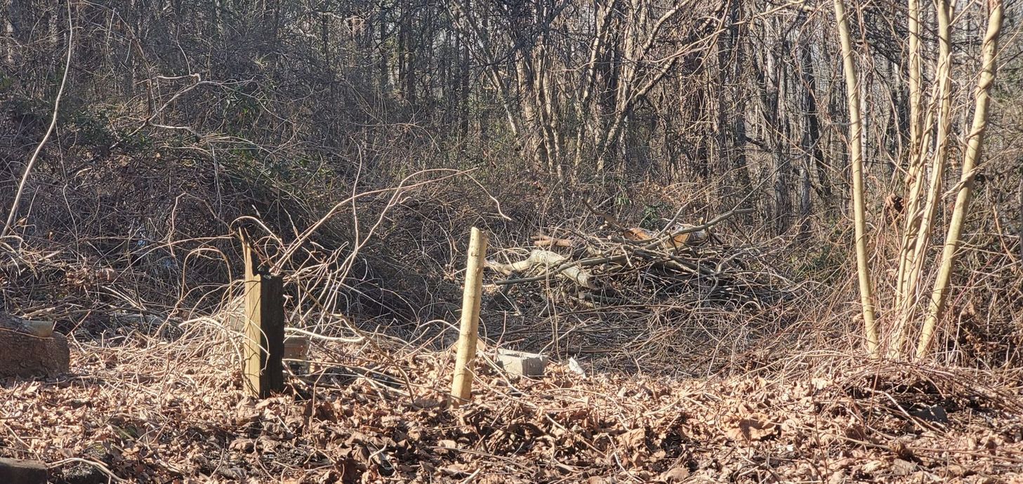 A clearing in a forest with dry leaves on the ground, two wooden posts, and a pile of brush near bare trees.