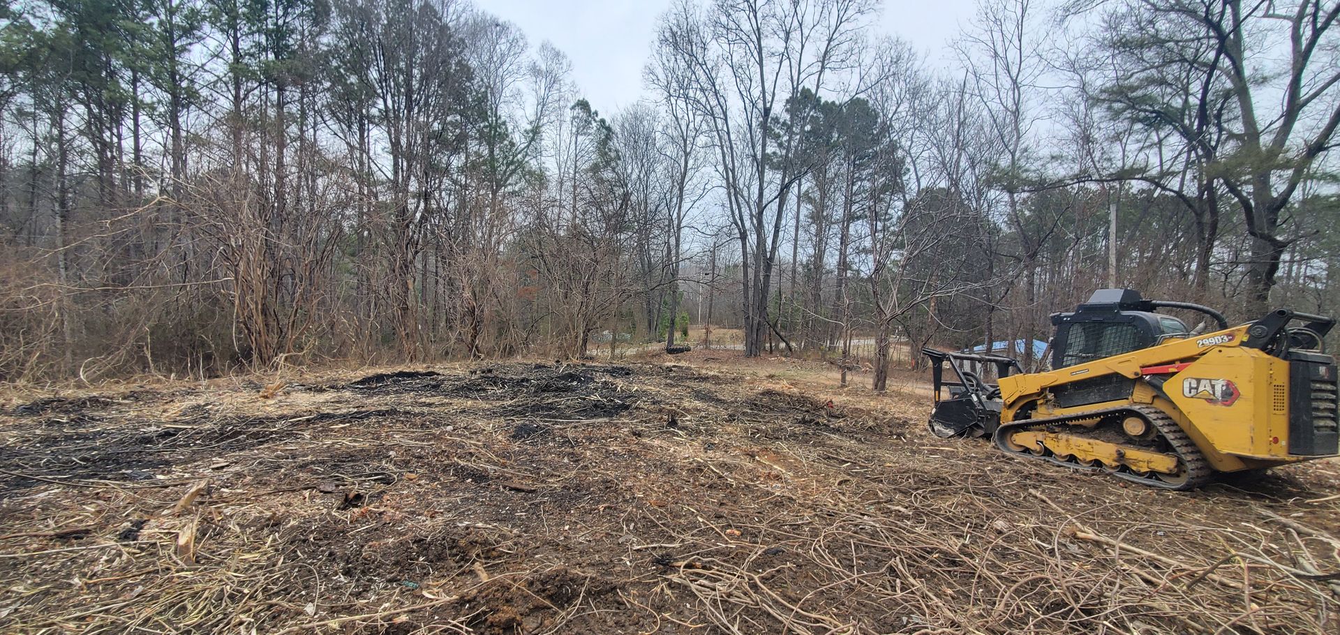 A yellow CAT skid steer operates in a wooded, partially cleared field covered in dry leaves and charred earth.