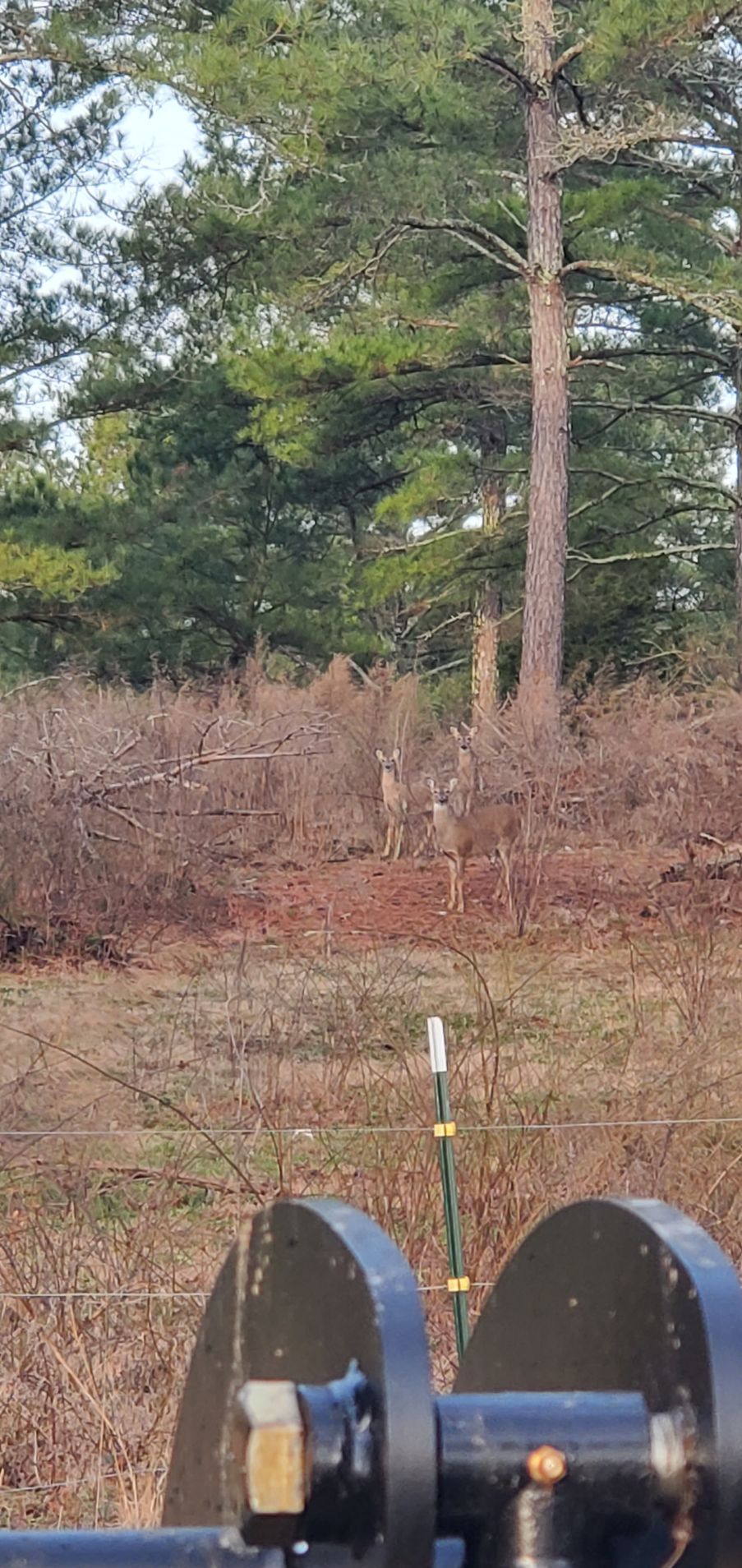 Two deer stand in a brushy field near a tree line, viewed past a piece of black farm machinery in the foreground.