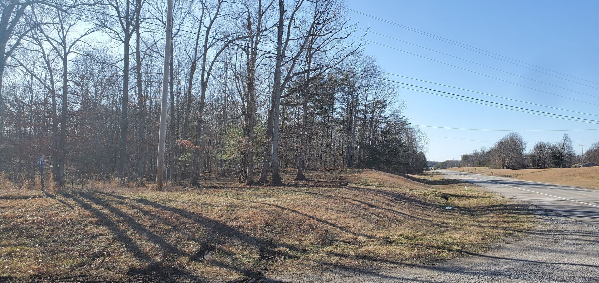 A line of bare trees borders a dirt road under a clear blue sky on a sunny, winter day.