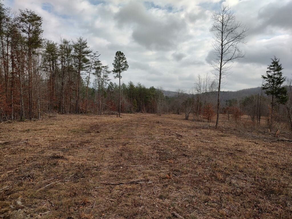 A cleared field of dry grass sits before a treeline and distant hills under a cloudy, overcast sky.