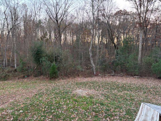 A backyard lawn covered in fallen leaves, bordered by a dense, leafless forest under a cloudy, late afternoon sky.