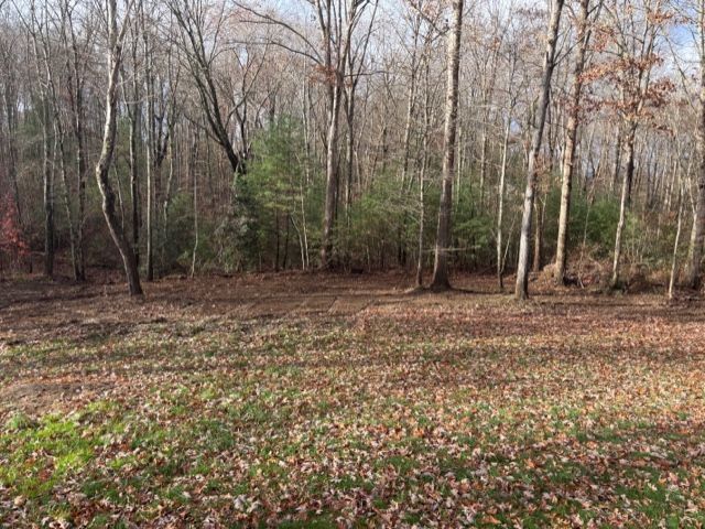 A wide shot of a wooded area in autumn with brown fallen leaves covering the ground and a dense forest in the background.